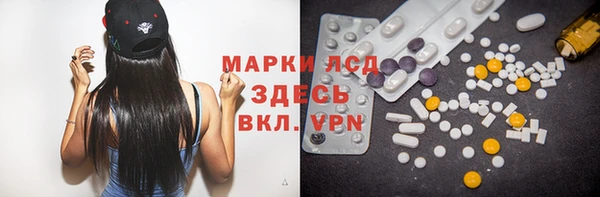 гидра Алзамай